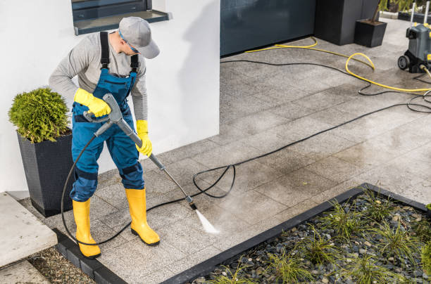 Best Power Washing Near Me  in Lewisville, WA
