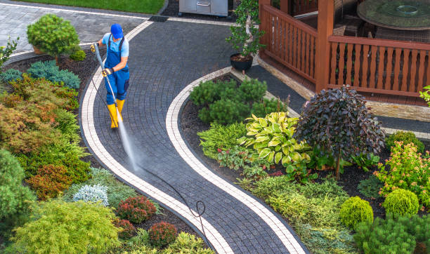 Best Affordable Power Washing  in Lewisville, WA
