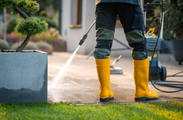 Deck Cleaning Services in Lewisville, WA